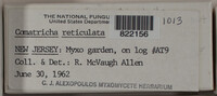 Image Associated With the Occurence